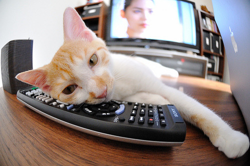 OG·阿努诺比在NBA常规赛中表现亮眼,og阿奴诺比集锦