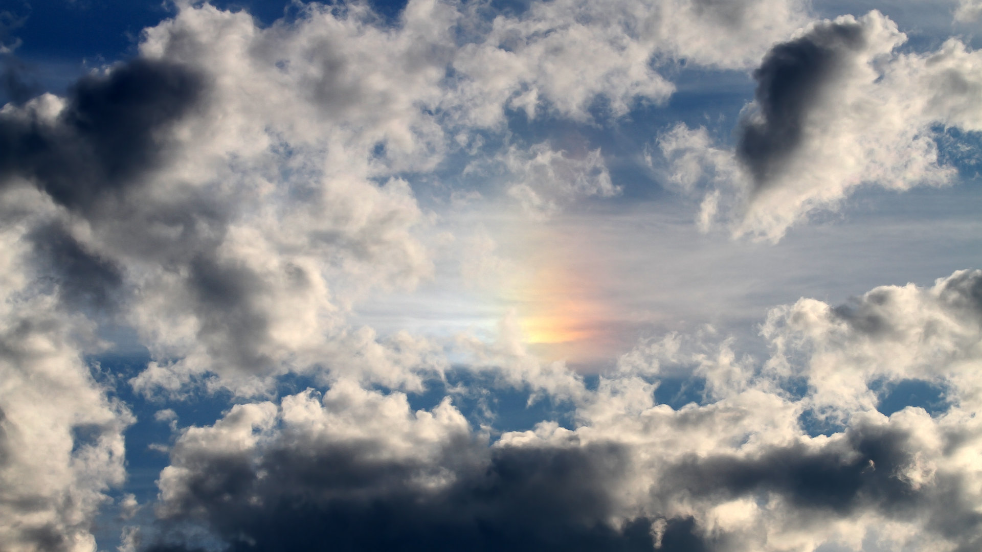 PSV埃因霍温在2023-24赛季以91分夺得荷甲冠军,创下新纪录。,psv埃因霍温女足